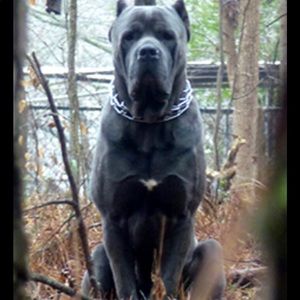 Meet your Posher, Chyanne